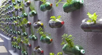 5 Creative Ways to Repurpose Plastic Bottles into Useful Items