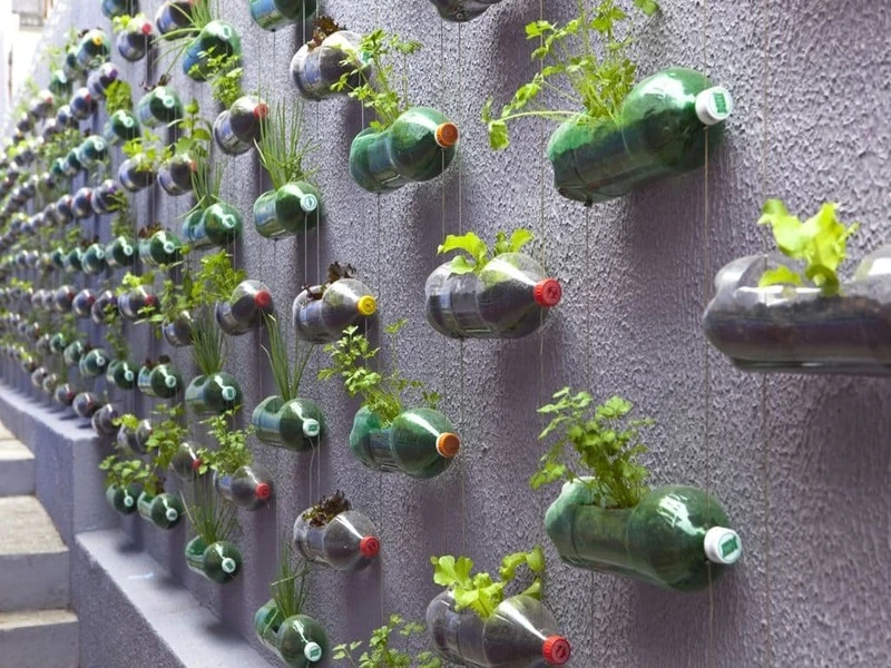 Plastic Bottles 5 Creative Ways to Repurpose into Useful Items